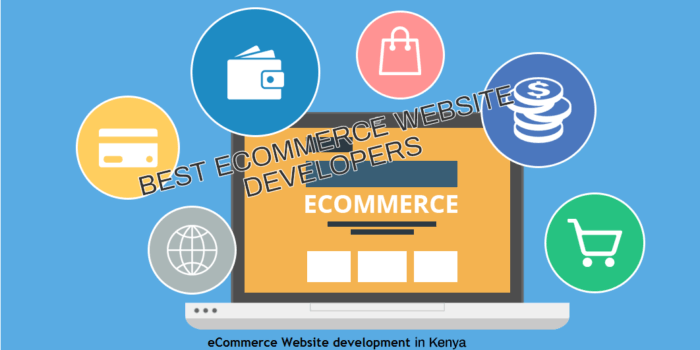 Best eCommerce Website Developers in Kenya