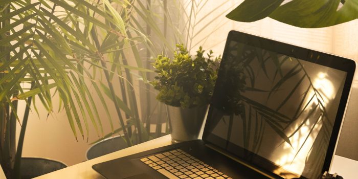Elevate your website performance :web design and SEO services  in Nairobi