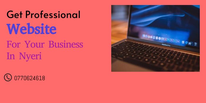 Dominating the web in Nyeri:Kenya website Developers superior web design services