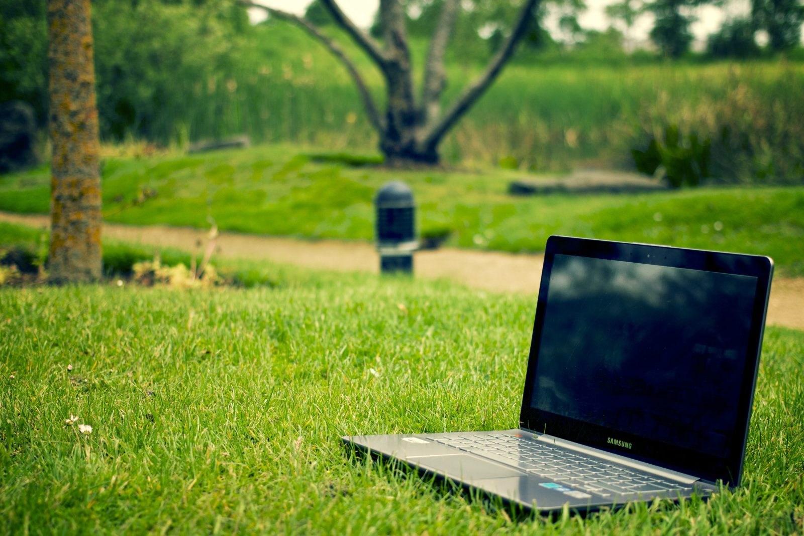 Affordable Website Design Services in Kenya:Quality Meets Affordability