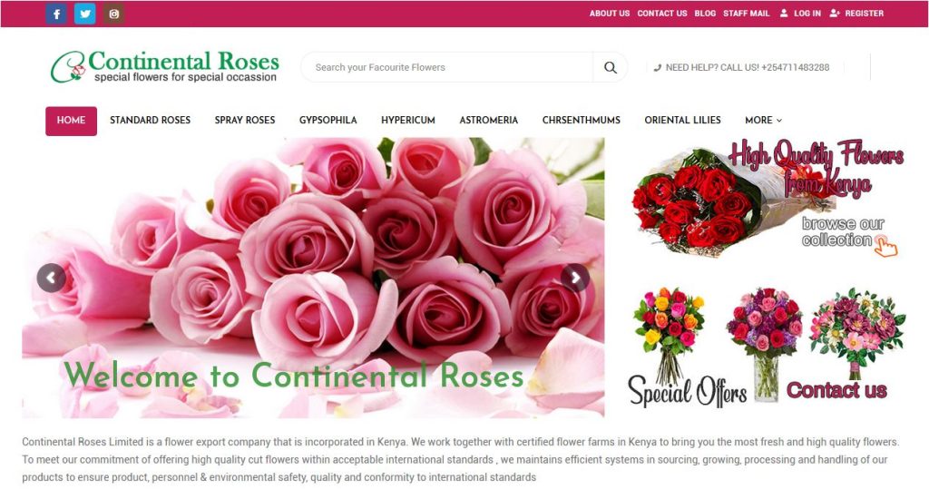 website design services kenya kenya website developers 57