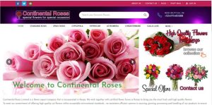 website design services kenya kenya website developers 81